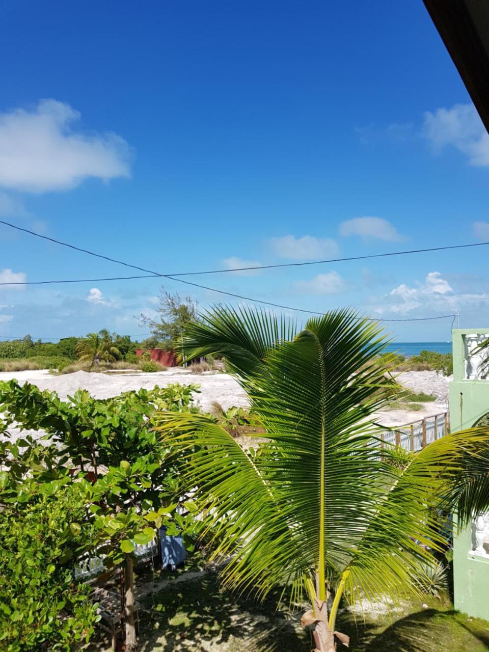 Trellis House Apartment Caye Caulker Ngoại thất bức ảnh